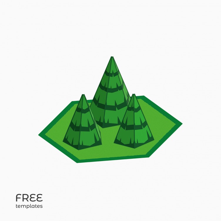 Spruces